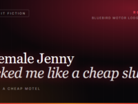 Dark motel card reading "Shemale Jenny fucked me like a cheap slut in a cheap motel
